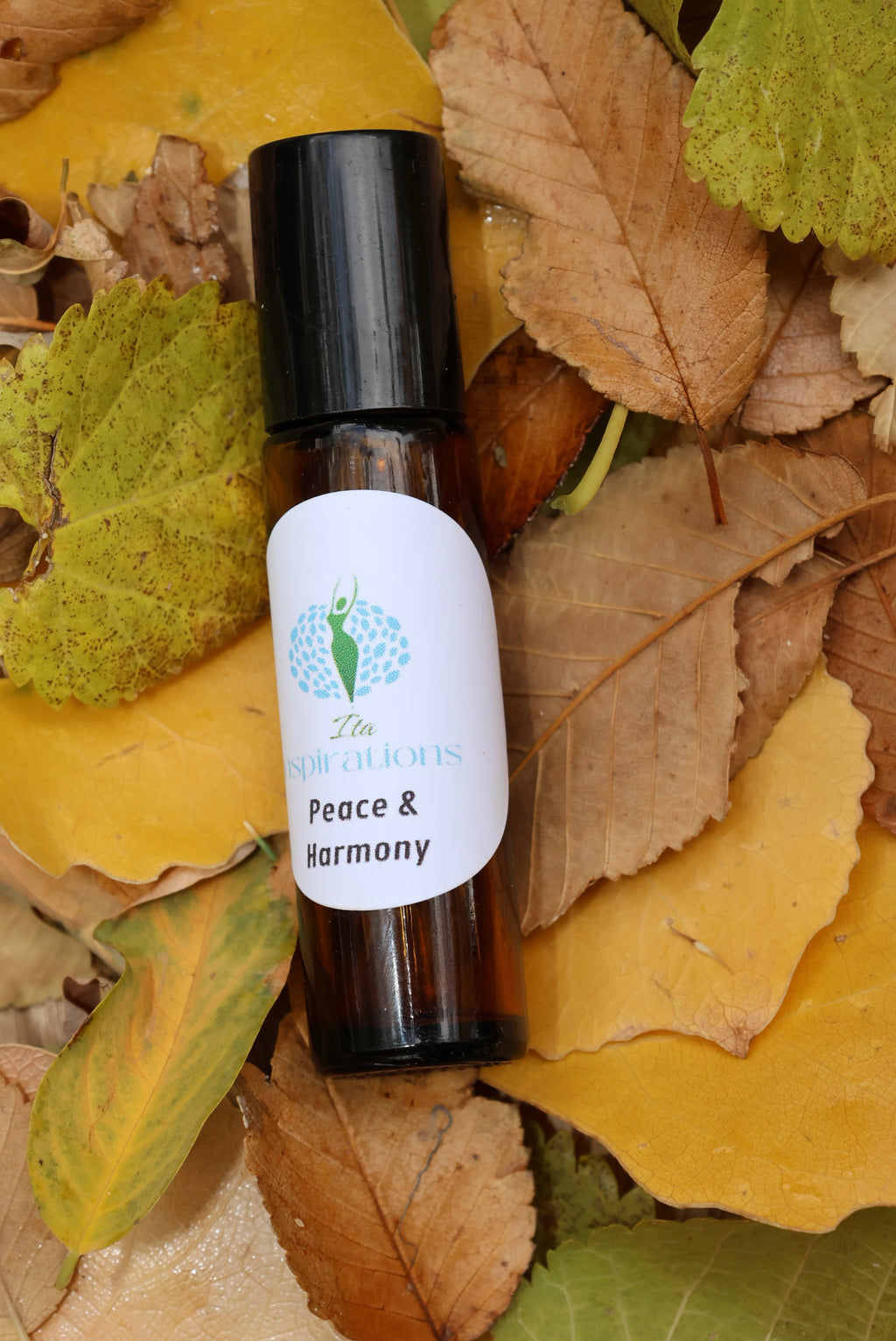 Paz y calma continúan