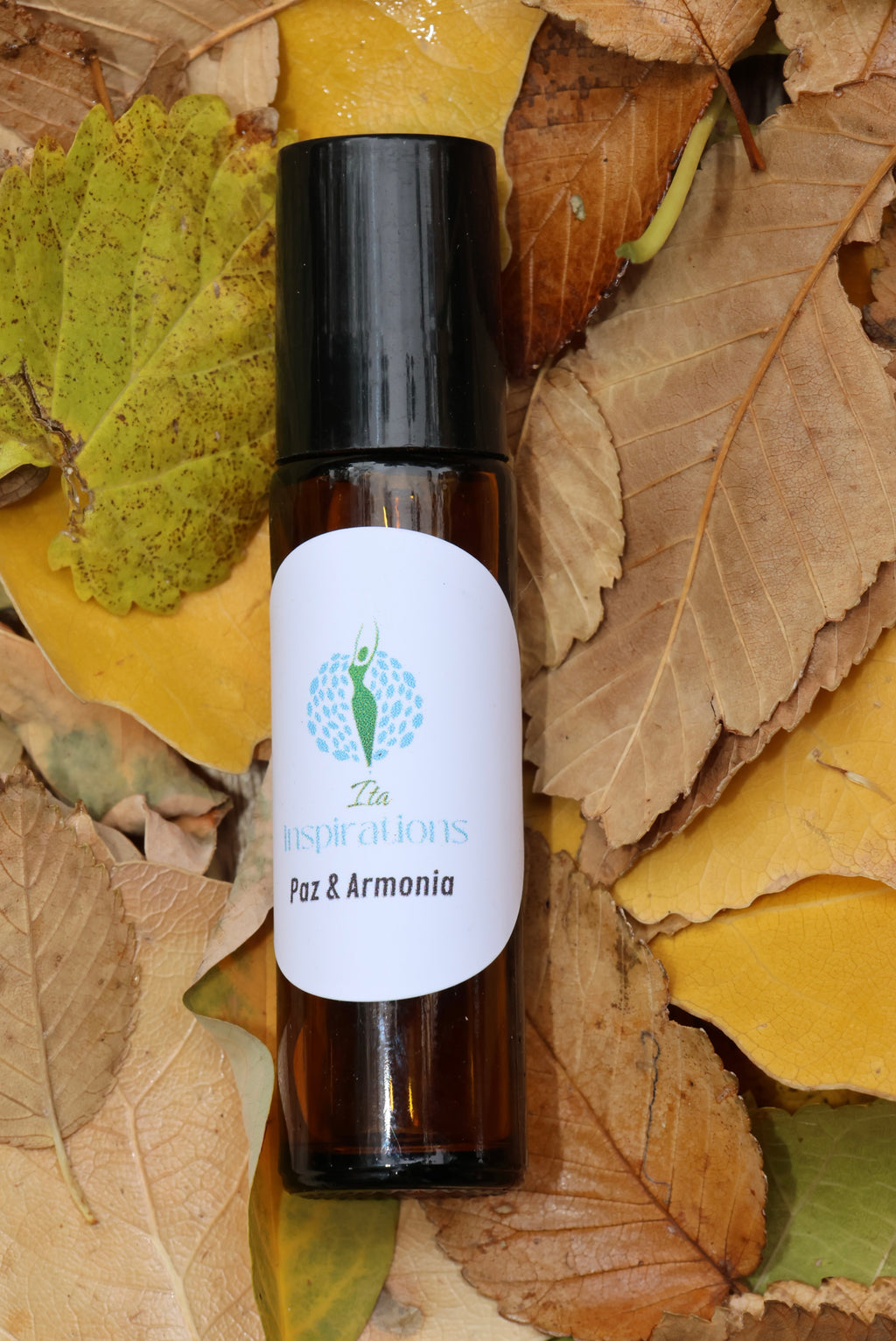 Paz y calma continúan