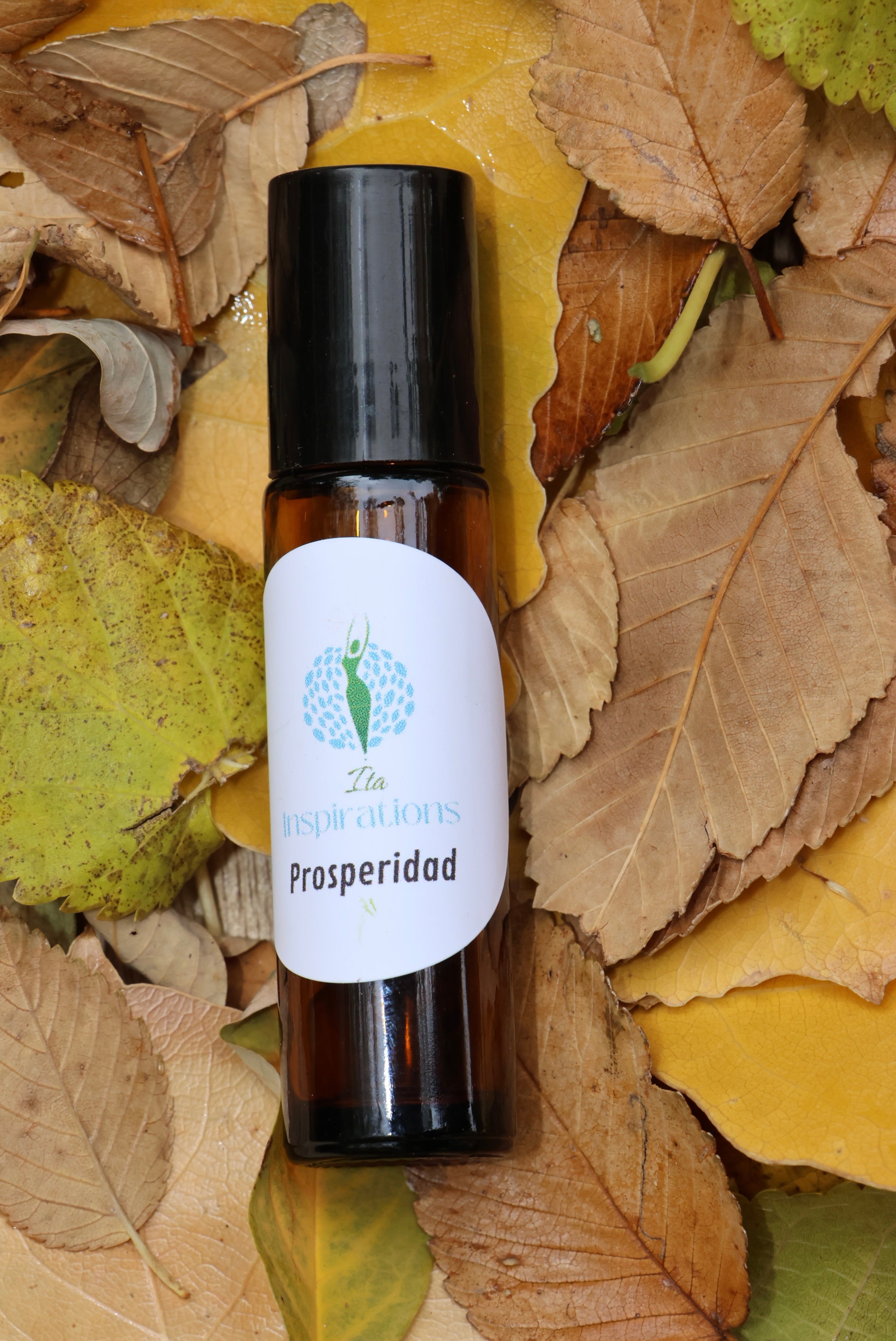 Paz y calma continúan