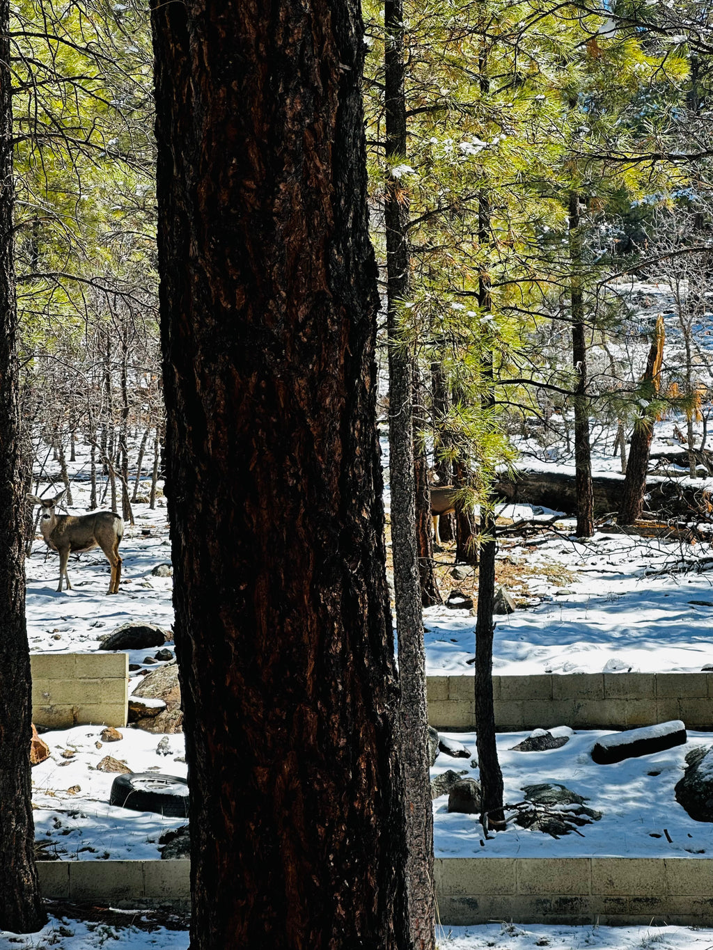 ALQUILERES DE VACACIONES