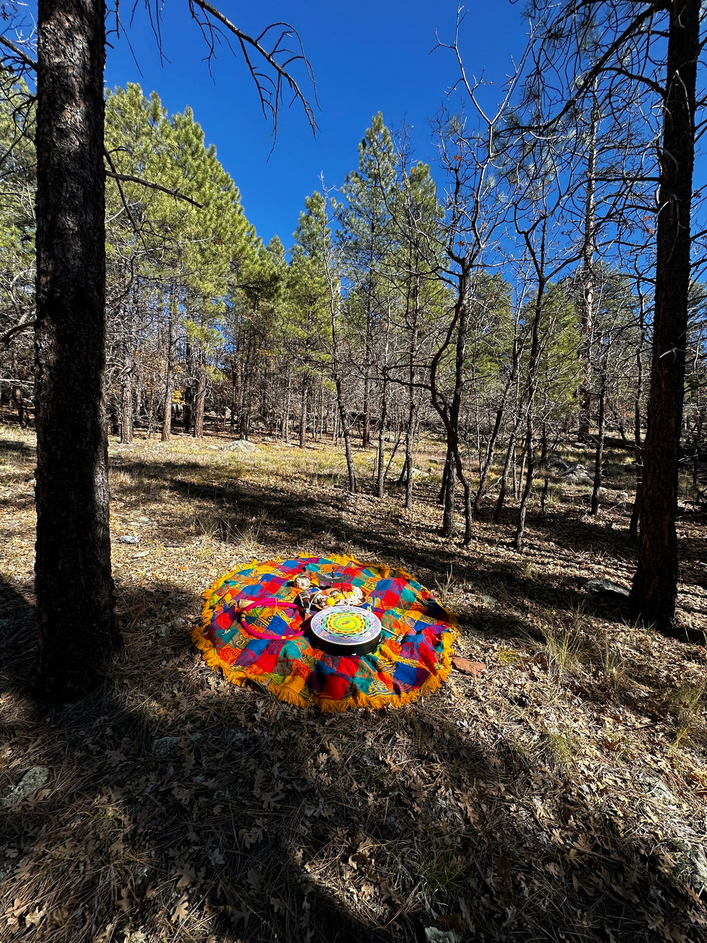 3-Session Holistic Transformation Package 60 minutes each