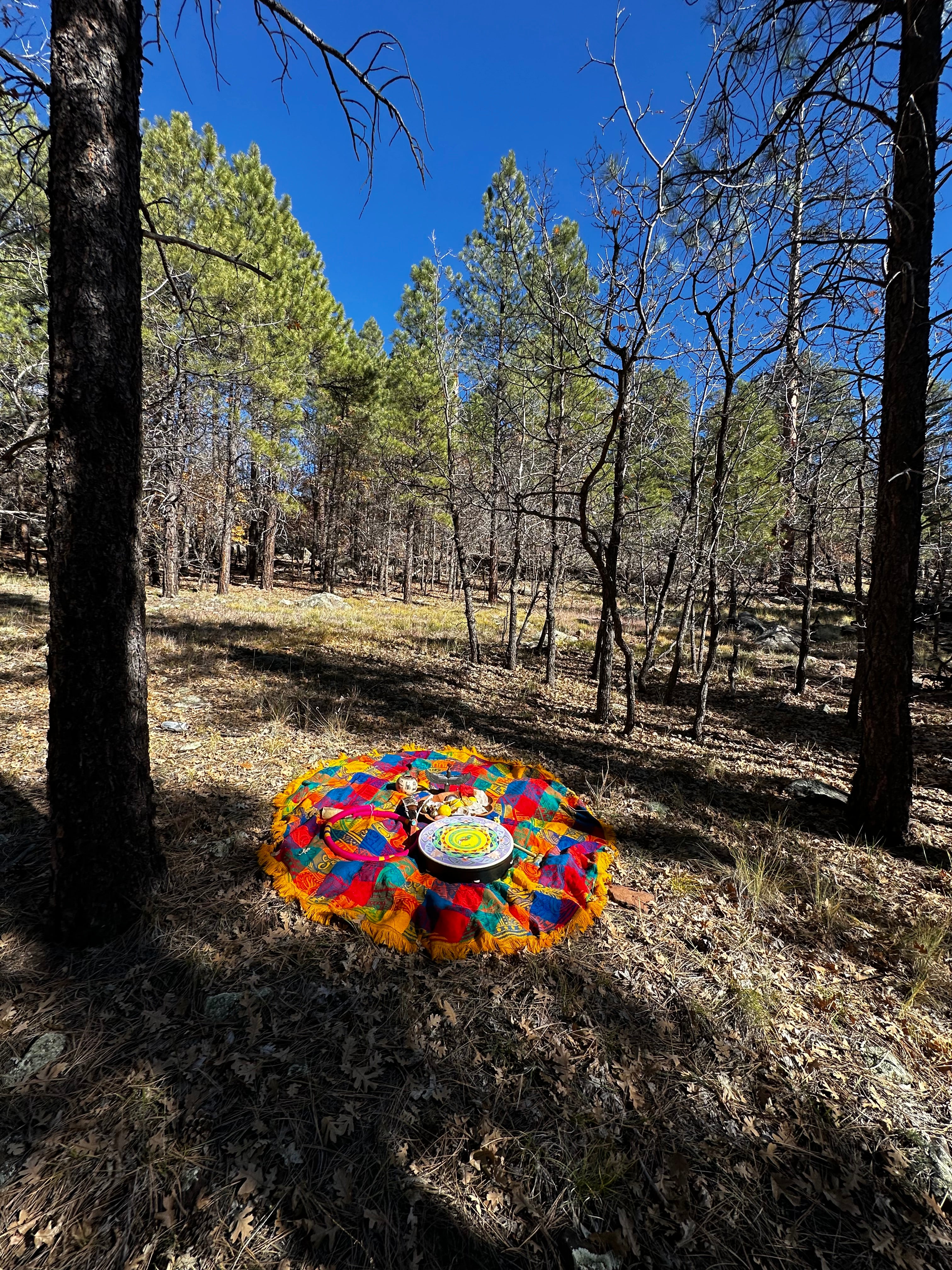 3-Session Holistic Transformation Package 60 minutes each