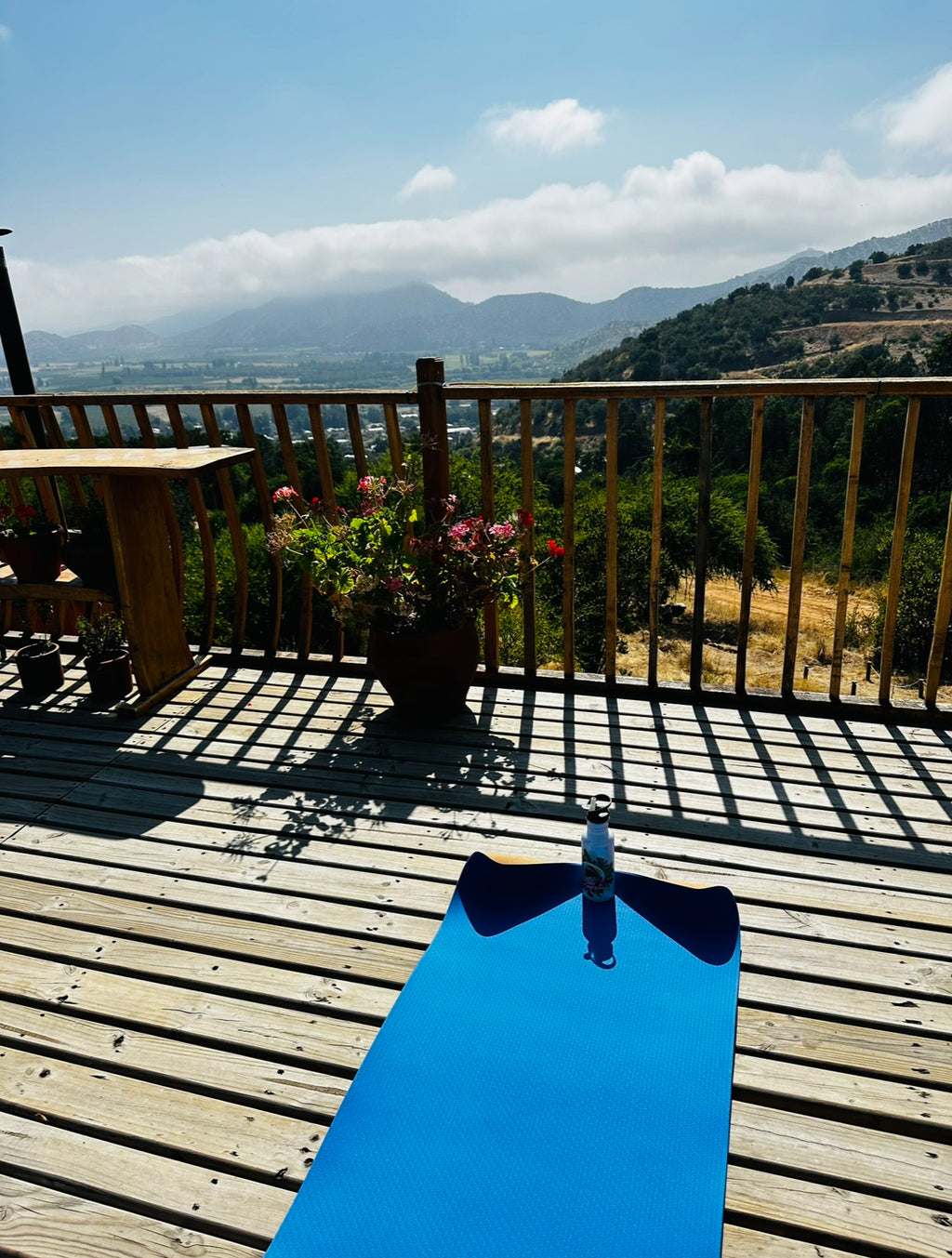 60-Minute Holistic Healing Session